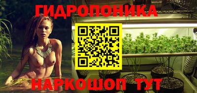 бошки Дубна