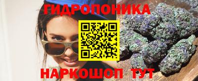 крисы Гусь-Хрустальный