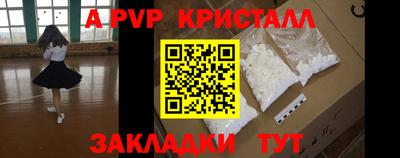 бошки Дубна