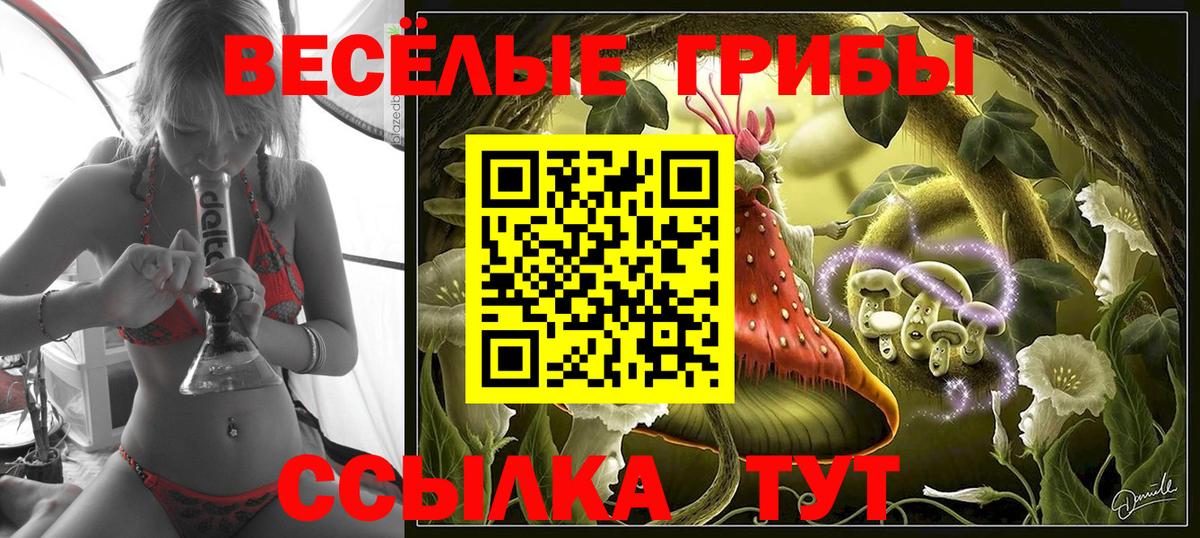 Галлюциногенные грибы прущие грибы Усть-Илимск