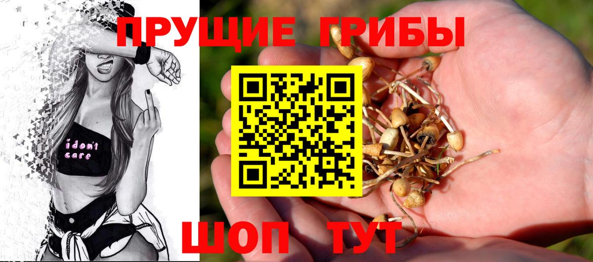 Усть-Илимск  Псилоцибиновые грибы ЛСД  Вход с VPN  продажа наркотиков  Псилоцибиновые грибы Magic Shrooms 